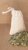 Organic Bay Leaf | The Cognitive Visionary