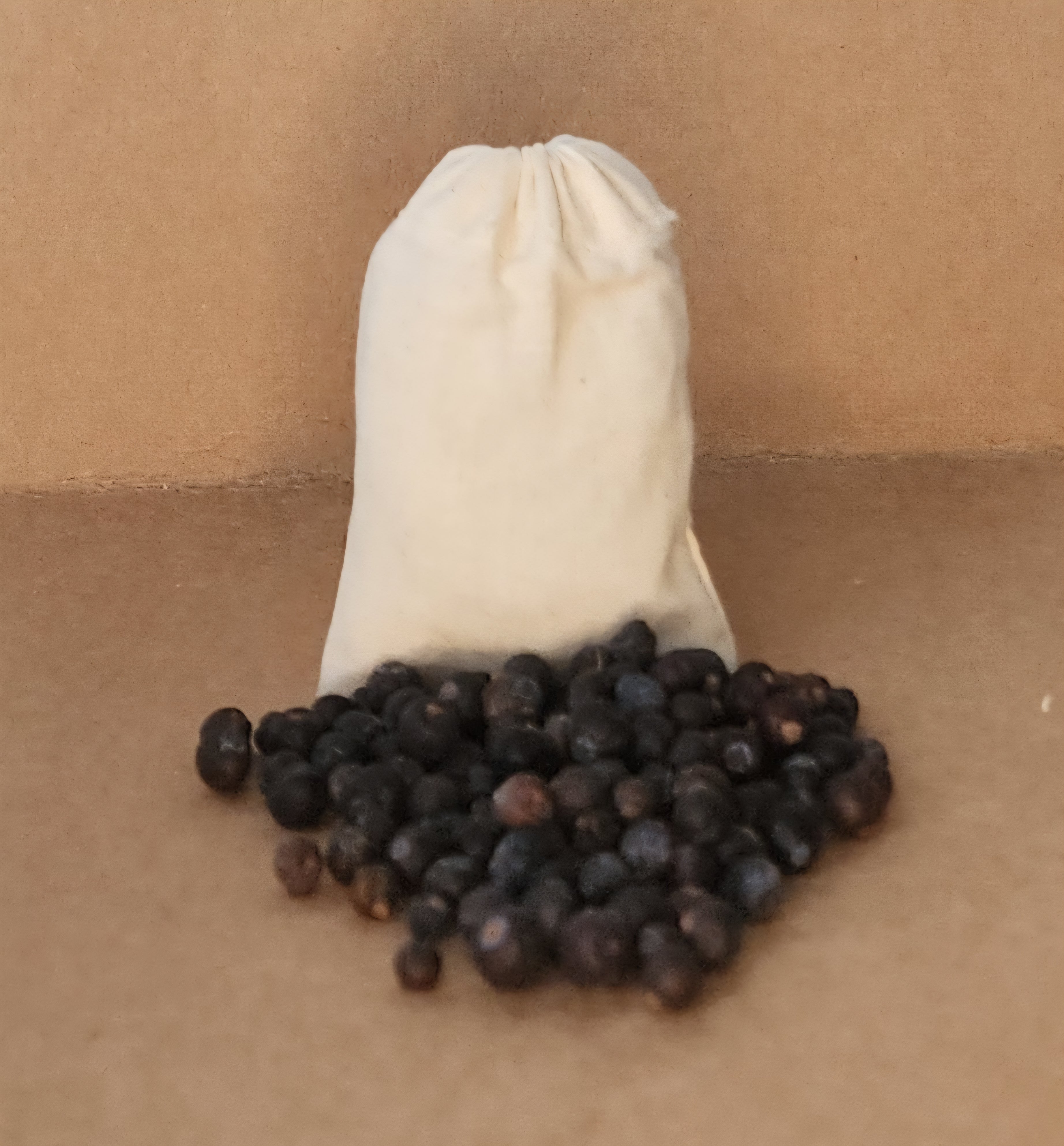 Organic Juniper Berry | The Essential Purge