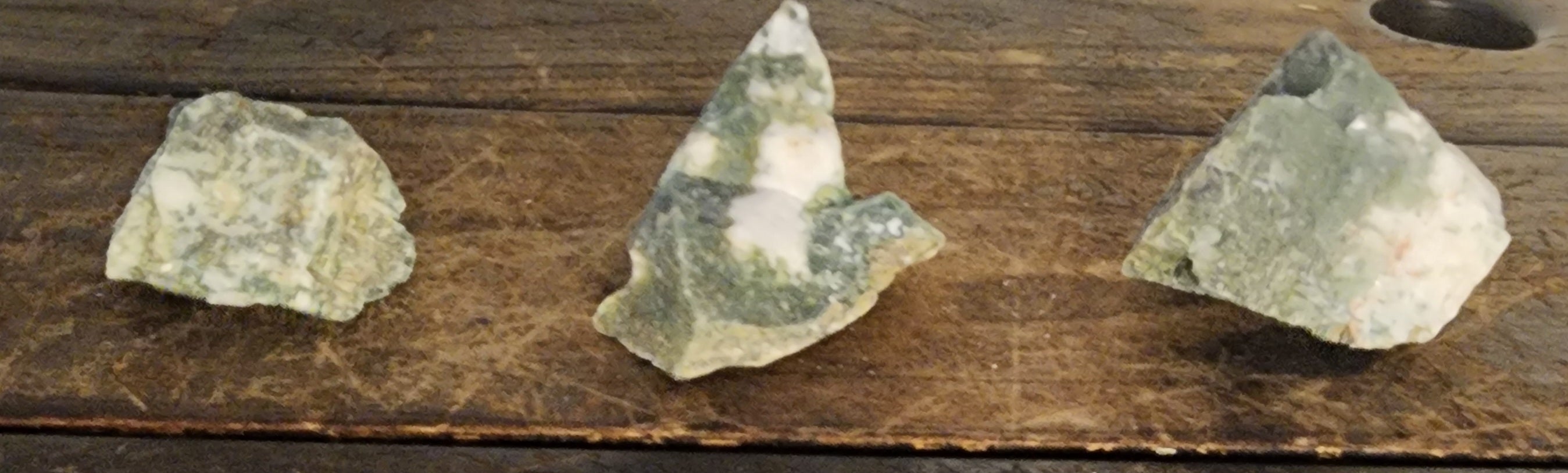 Tree Agate | The Structural Blueprint