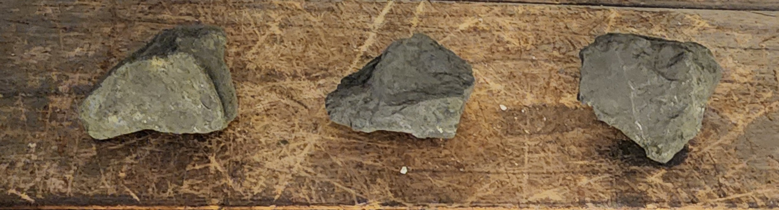 Shungite | The Molecular Shield