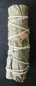 Organic Eucalyptus | Ritual Wand