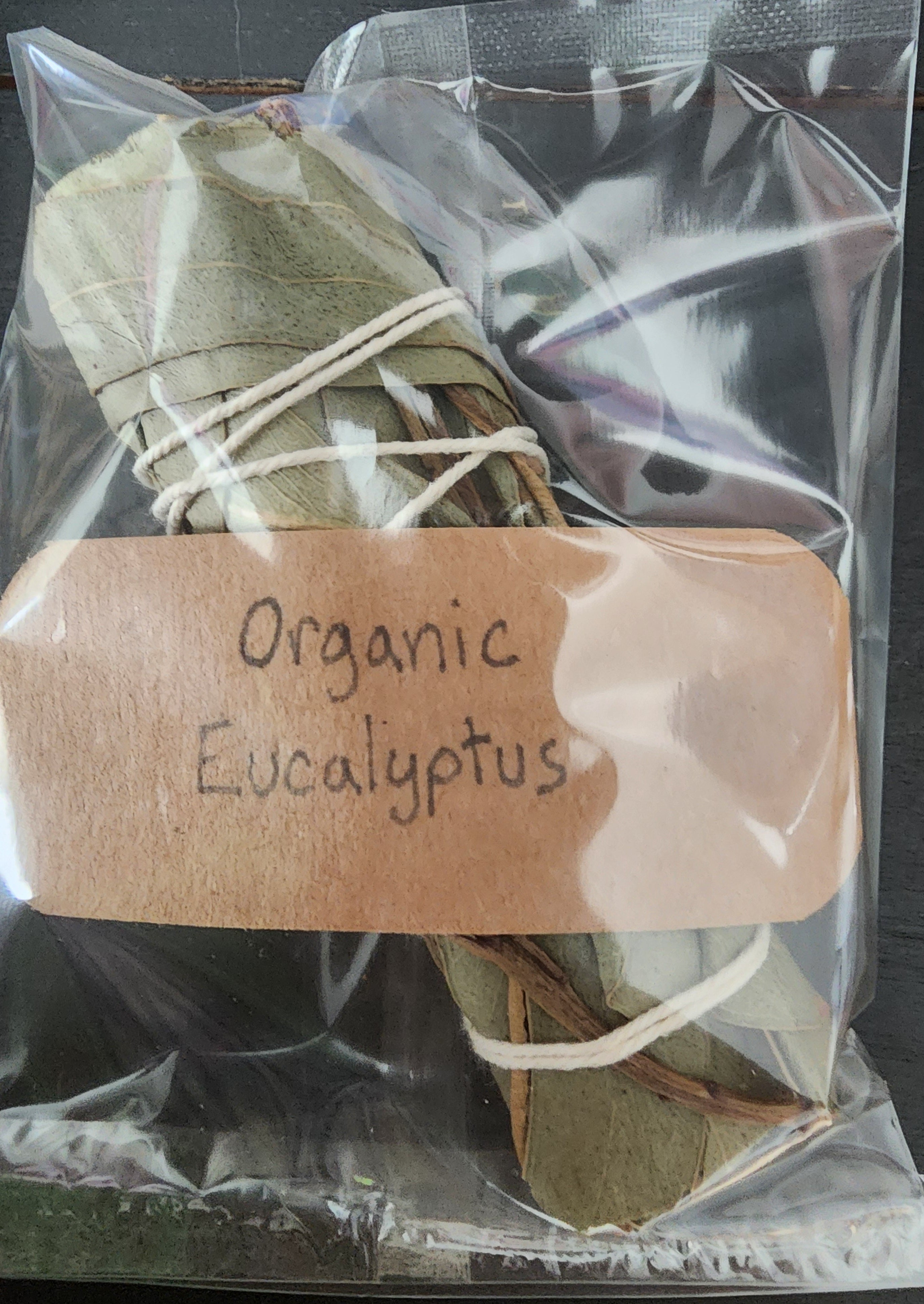 Organic Eucalyptus | Ritual Wand