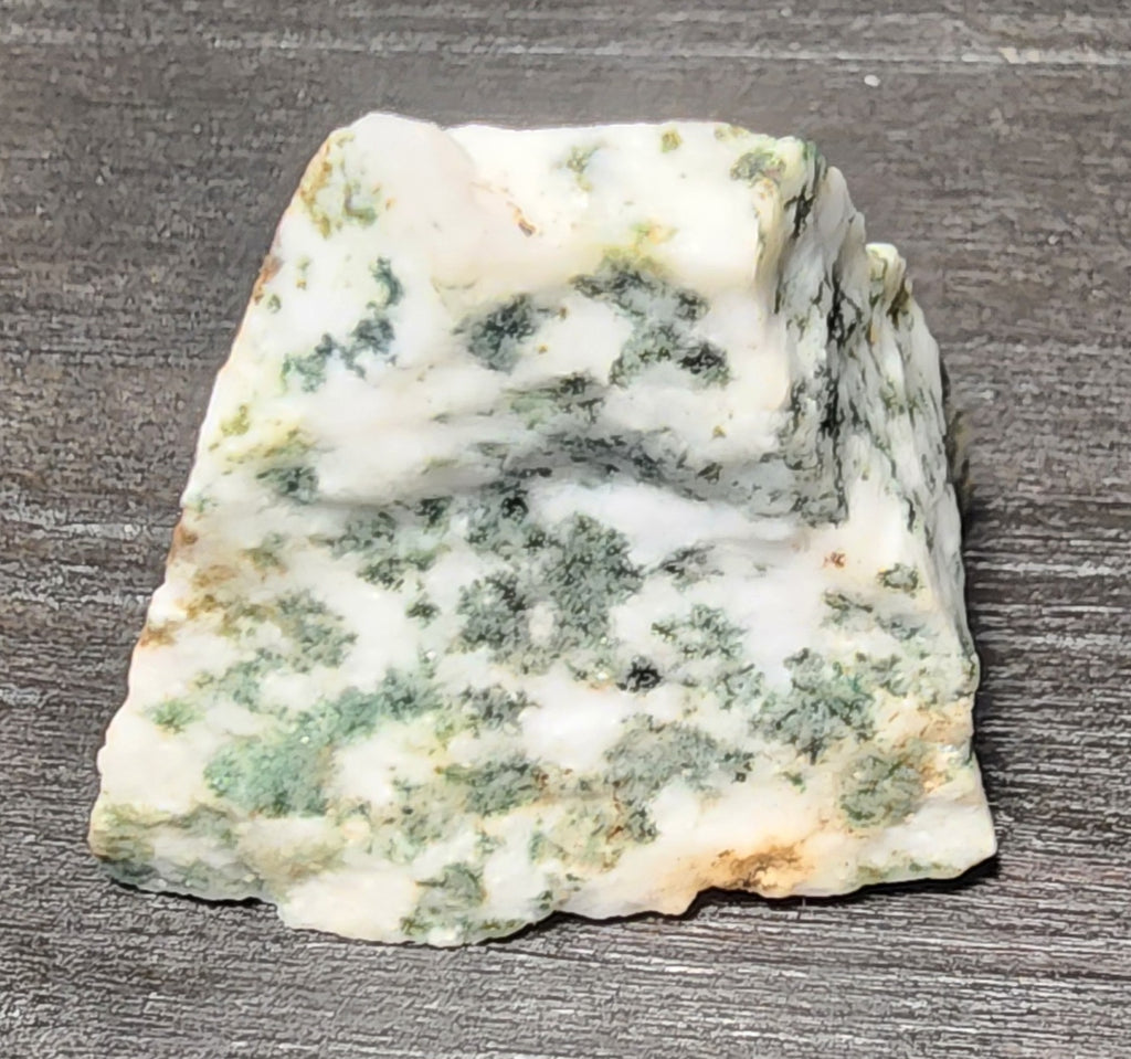 Tree Agate | The Structural Blueprint