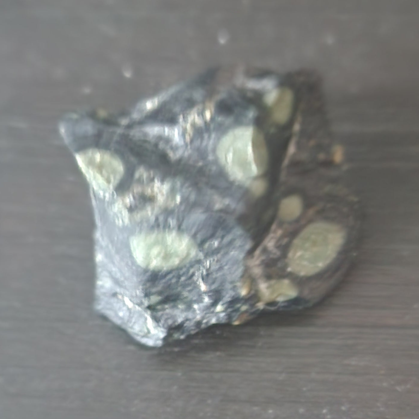 Crocodile Jasper | The Primordial Anchor